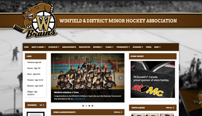 Winfield Minor Hockey
